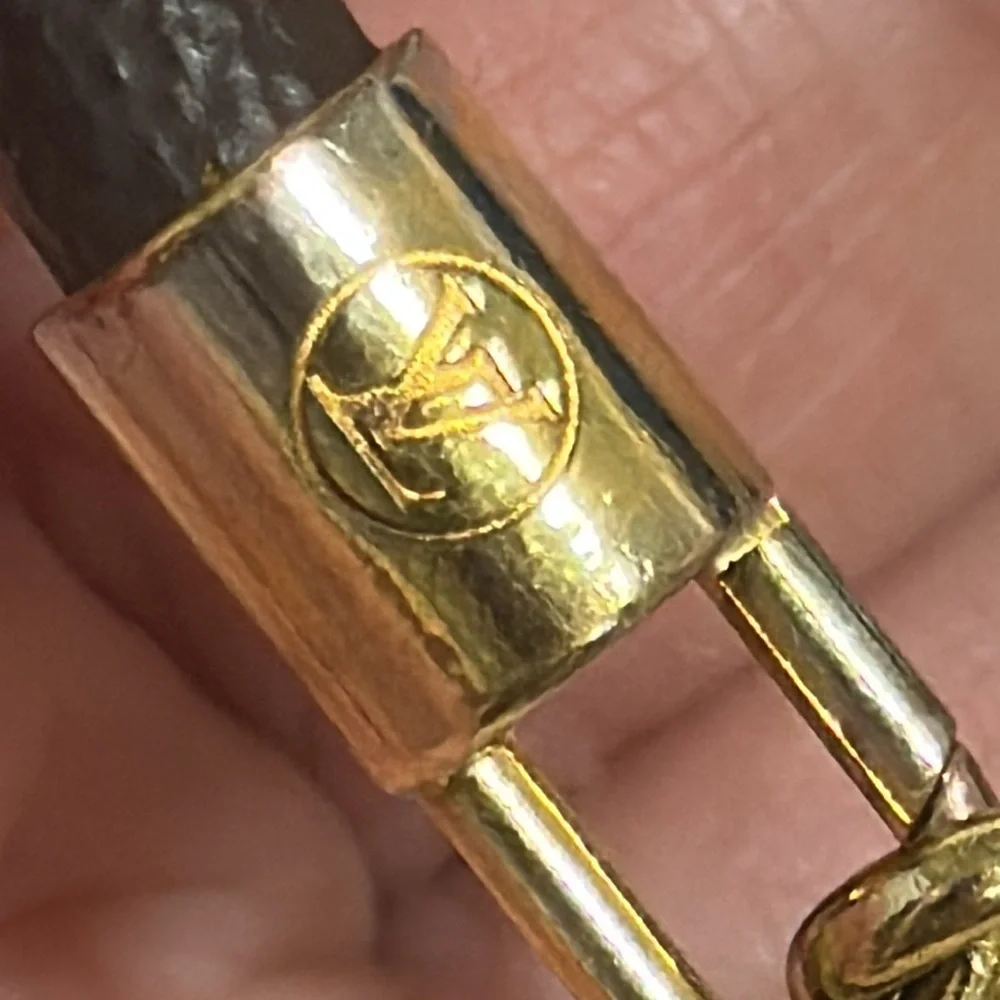 Louis Vuitton chic louis